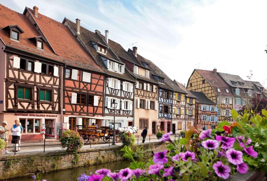 Foto 6 del F1 COLMAR